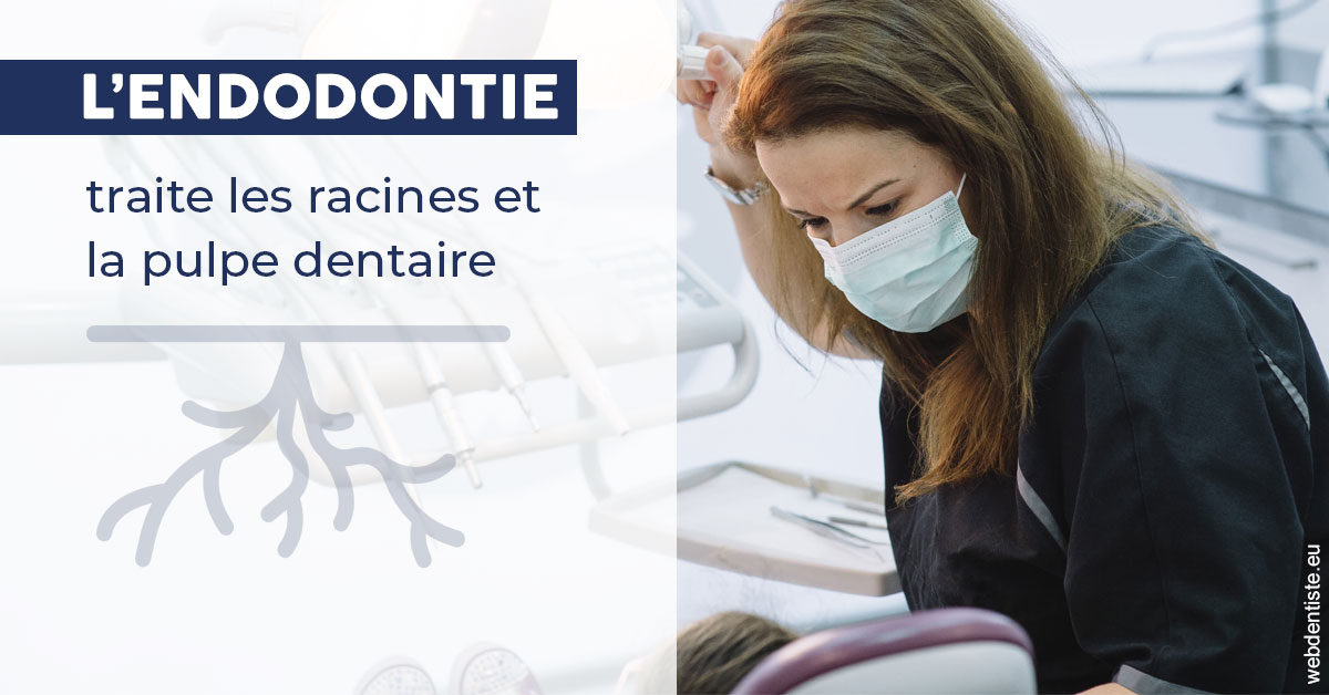 https://dr-membrado-daniel.chirurgiens-dentistes.fr/L'endodontie 1